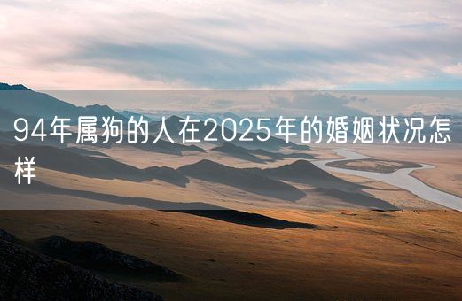 94年属狗的人在2025年的婚姻状况怎样(图1)