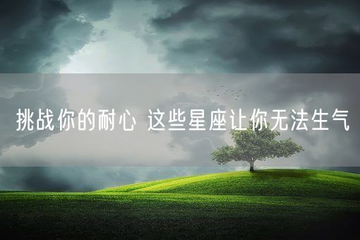 挑战你的耐心 这些星座让你无法生气(图1)