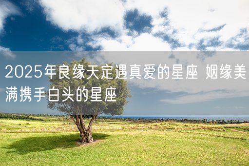 2025年良缘天定遇真爱的星座 姻缘美满携手白头的星座(图1)