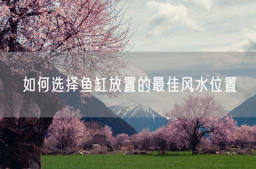 如何选择鱼缸放置的最佳风水位置(图1)