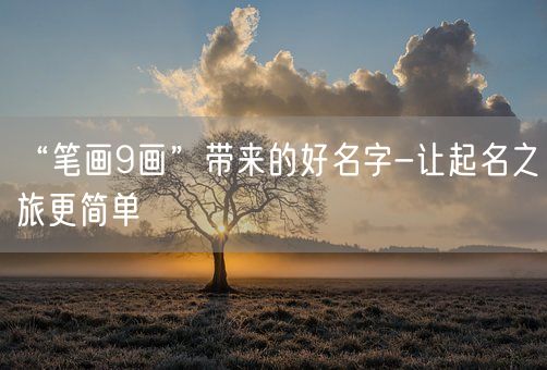 “笔画9画”带来的好名字-让起名之旅更简单(图1)