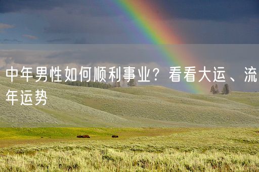 中年男性如何顺利事业？看看大运、流年运势(图1)