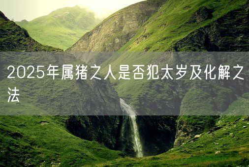 2025年属猪之人是否犯太岁及化解之法(图1)