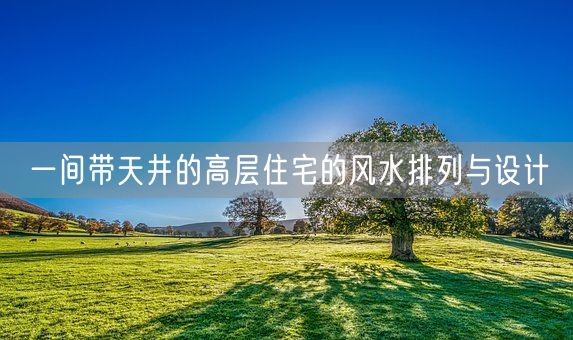 一间带天井的高层住宅的风水排列与设计(图1)