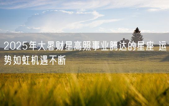 2025年大暑财星高照事业腾达的星座 运势如虹机遇不断(图1)
