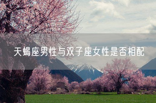 天蝎座男性与双子座女性是否相配(图1)