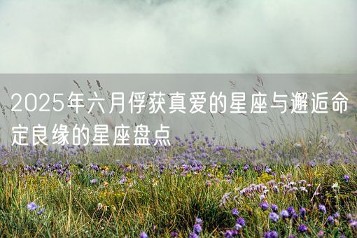 2025年六月俘获真爱的星座与邂逅命定良缘的星座盘点(图1)