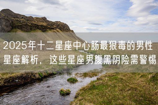 2025年十二星座中心肠最狠毒的男性星座解析，这些星座男腹黑阴险需警惕(图1)