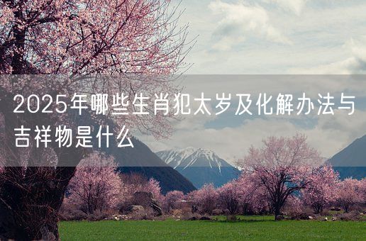 2025年哪些生肖犯太岁及化解办法与吉祥物是什么(图1)