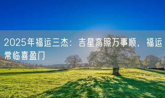 2025年福运三杰：吉星高照万事顺，福运常临喜盈门(图1)