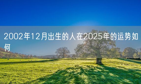 2002年12月出生的人在2025年的运势如何(图1)