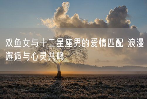 双鱼女与十二星座男的爱情匹配 浪漫邂逅与心灵共鸣(图1)