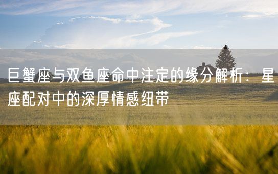 巨蟹座与双鱼座命中注定的缘分解析：星座配对中的深厚情感纽带(图1)