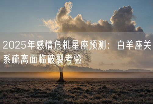 2025年感情危机星座预测：白羊座关系疏离面临破裂考验(图1)