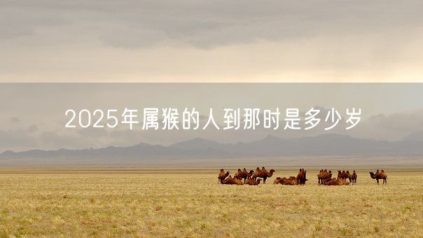 2025年属猴的人到那时是多少岁(图1)