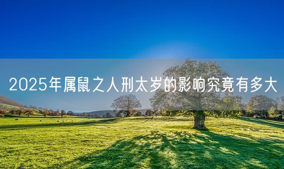 2025年属鼠之人刑太岁的影响究竟有多大(图1)