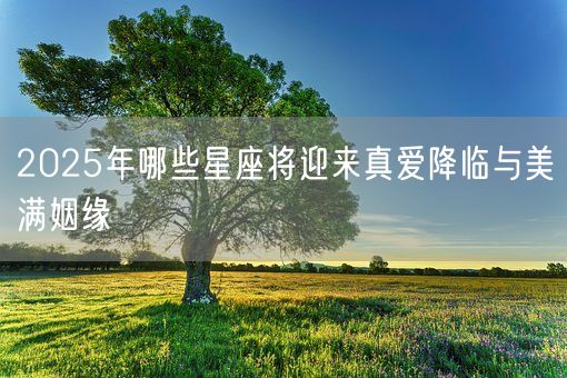 2025年哪些星座将迎来真爱降临与美满姻缘(图1)