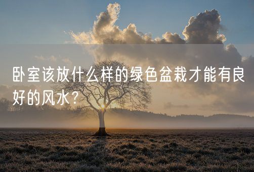 卧室该放什么样的绿色盆栽才能有良好的风水？(图1)