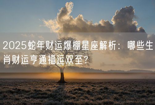 2025蛇年财运爆棚星座解析：哪些生肖财运亨通福运双至？(图1)
