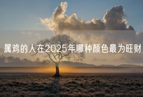 属鸡的人在2025年哪种颜色最为旺财(图1)