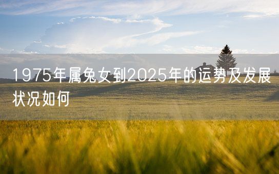 1975年属兔女到2025年的运势及发展状况如何(图1)