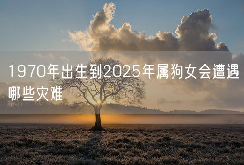 1970年出生到2025年属狗女会遭遇哪些灾难(图1)