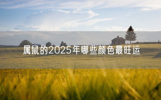 属鼠的2025年哪些颜色最旺运(图1)