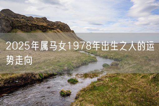 2025年属马女1978年出生之人的运势走向(图1)