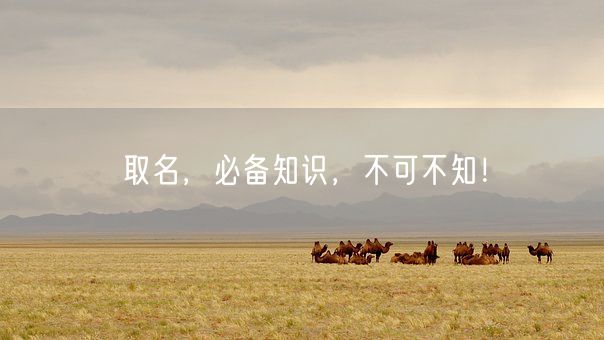 取名，必备知识，不可不知！(图1)