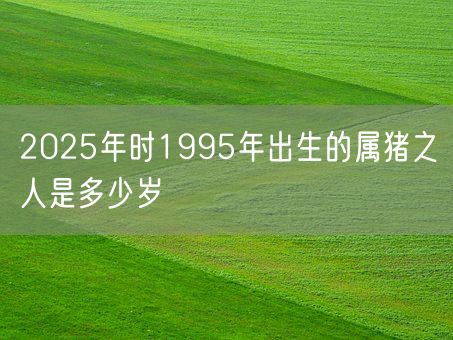 2025年时1995年出生的属猪之人是多少岁(图1)