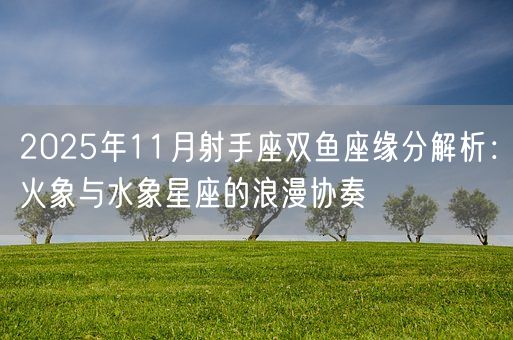 2025年11月射手座双鱼座缘分解析：火象与水象星座的浪漫协奏(图1)