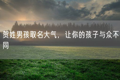 贺姓男孩取名大气，让你的孩子与众不同(图1)