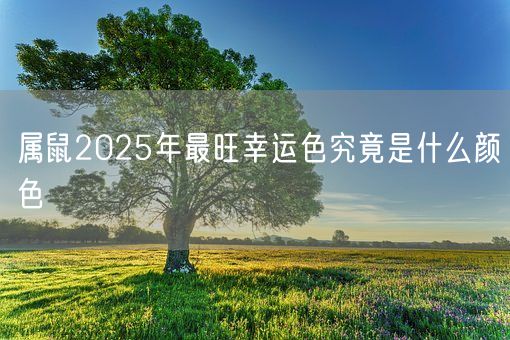 属鼠2025年最旺幸运色究竟是什么颜色(图1)