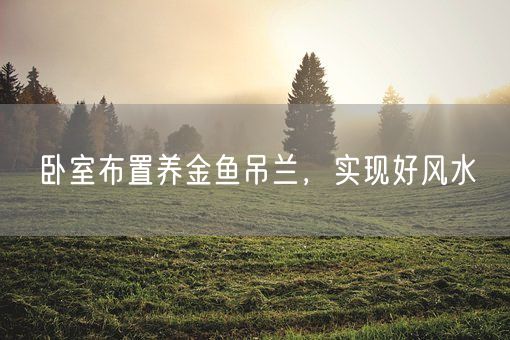 卧室布置养金鱼吊兰,实现好风水(图1) 卧室布置养金鱼吊兰,实现好风水(图1)