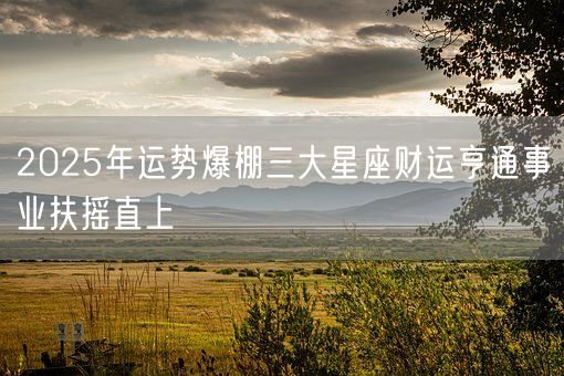 2025年运势爆棚三大星座财运亨通事业扶摇直上(图1)