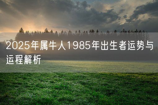 2025年属牛人1985年出生者运势与运程解析(图1) 2025年属牛人1985年出生者运势与运程解析(图1)