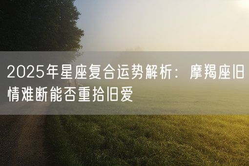 2025年星座复合运势解析:摩羯座旧情难断能否重拾旧爱(图1) 2025年星座复合运势解析:摩羯座旧情难断能否重拾旧爱(图1)