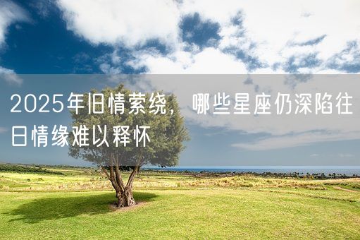 2025年旧情萦绕,哪些星座仍深陷往日情缘难以释怀(图1) 2025年旧情萦绕,哪些星座仍深陷往日情缘难以释怀(图1)