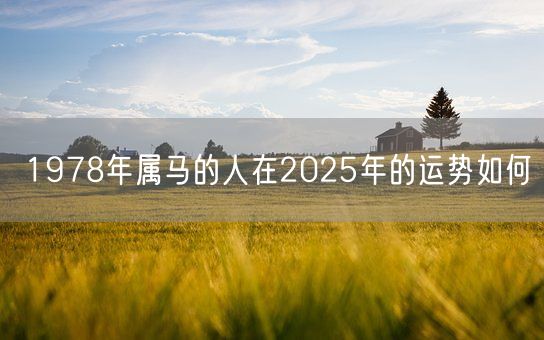 1978年属马的人在2025年的运势如何(图1)