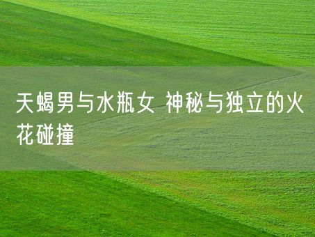天蝎男与水瓶女 神秘与独立的火花碰撞(图1)