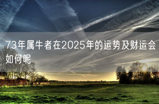 73年属牛者在2025年的运势及财运会如何呢(图1)