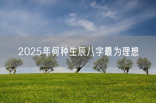 2025年何种生辰八字最为理想(图1) 2025年何种生辰八字最为理想(图1)