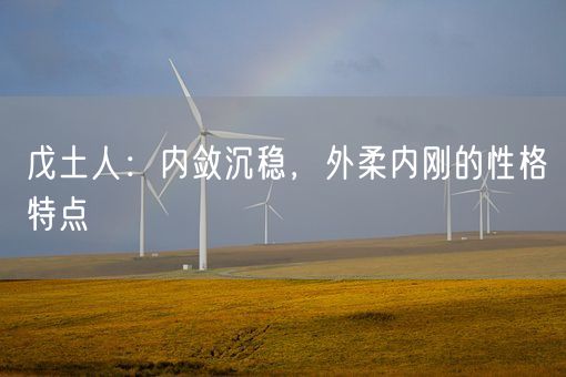 戊土人:内敛沉稳,外柔内刚的性格特点(图1) 戊土人:内敛沉稳,外柔内刚的性格特点(图1)