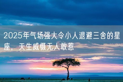2025年气场强大令小人退避三舍的星座，天生威慑无人敢惹(图1)