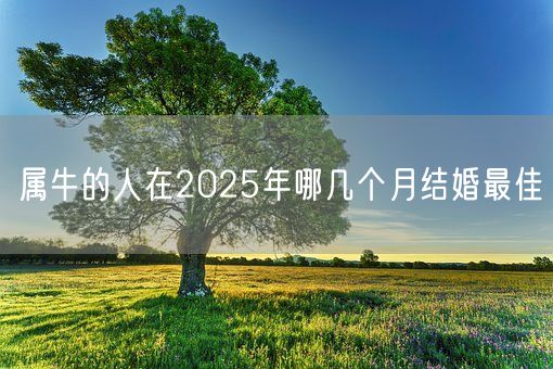 属牛的人在2025年哪几个月结婚最佳(图1)
