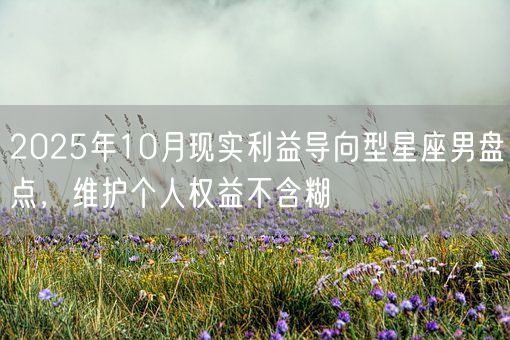 2025年10月现实利益导向型星座男盘点，维护个人权益不含糊(图1)