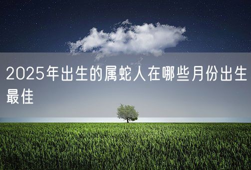 2025年出生的属蛇人在哪些月份出生最佳(图1)