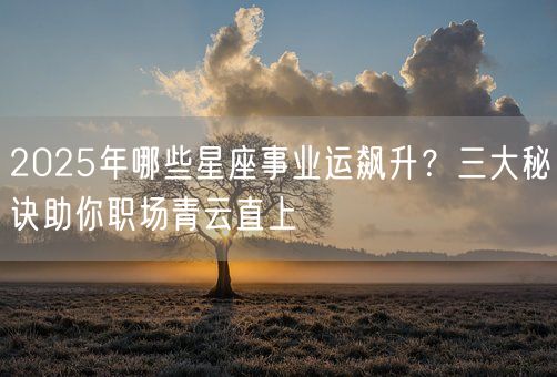 2025年哪些星座事业运飙升?三大秘诀助你职场青云直上(图1) 2025年哪些星座事业运飙升?三大秘诀助你职场青云直上(图1)
