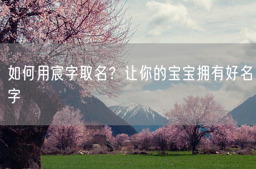 如何用宸字取名？让你的宝宝拥有好名字(图1)