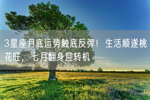 3星座月底运势触底反弹！生活顺遂桃花旺，七月翻身迎转机(图1)